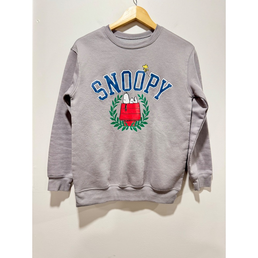 Peanuts Hybrid Apparel Snoopy Woodstock Doghouse Graphic Sweatshirt Gray XS